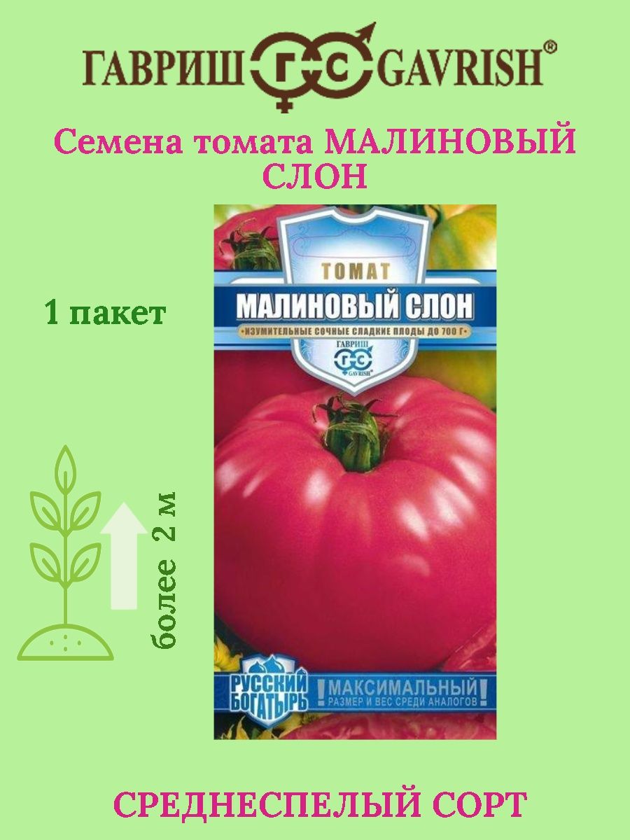 Томат малиновый слон характеристика. Семена томат малиновый слон Гавриш. Томат малиновый слон. Помидоры малиновый слон.