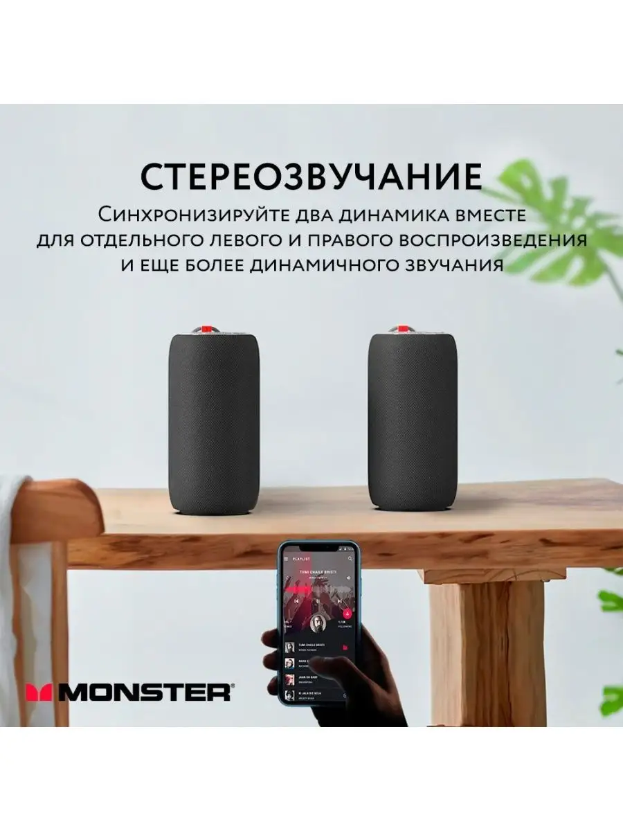 Monster best sale big speaker