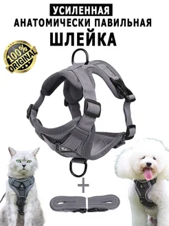 Шлейка для собак и кошек мелких и средних пород c поводком KINGDOM pets 139268089 купить за 416 ₽ в интернет-магазине Wildberries