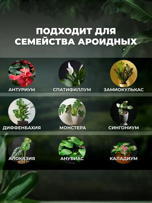 Сила Суздаля Грунт для замиокулькаса, антуриума и спатифиллума 5 литров, вариант, фото 6