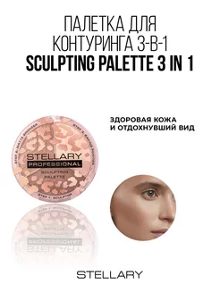 Контуринг для лица Face sculptor тон 02 11,4г Stellary 139281897 купить за 537 ₽ в интернет-магазине Wildberries