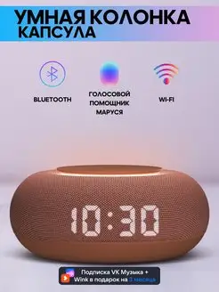 Умная колонка VK капсула мини Маруся Electro Planet 139286490 купить за 4 458 ₽ в интернет-магазине Wildberries