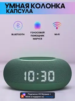 Умная колонка VK капсула мини Маруся Electro Planet 139286491 купить за 4 458 ₽ в интернет-магазине Wildberries