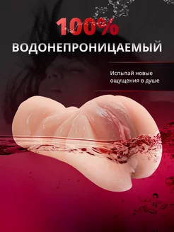 Мен бір кемпірдің мысығында келдім