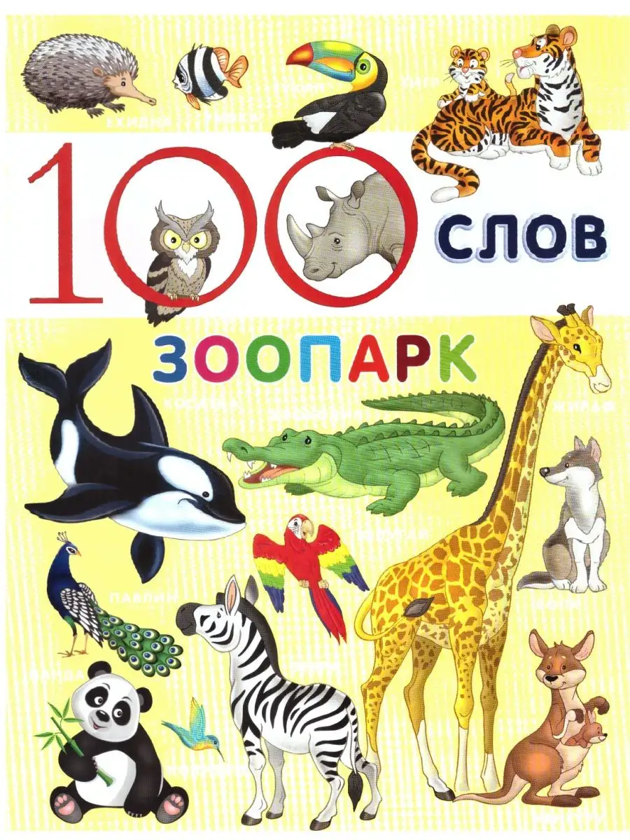 100 слов. Дом. Зоопарк. Лес. Комплект ИД Вита 139296702 купить за 206 ₽ в  интернет-магазине Wildberries