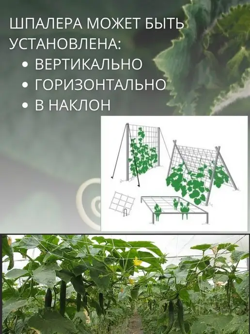Благодатное земледелие Сетка шпалерная для растений, 2 шт, 2 шт, фото 4
