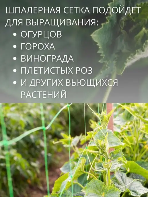 Благодатное земледелие Сетка шпалерная для растений, 2 шт, 2 шт, фото 5