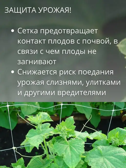 Благодатное земледелие Сетка шпалерная для растений, 2 шт, 2 шт, фото 7