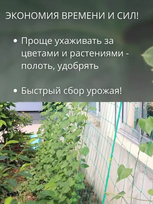Благодатное земледелие Сетка шпалерная для растений, 2 шт, 2 шт, фото 8