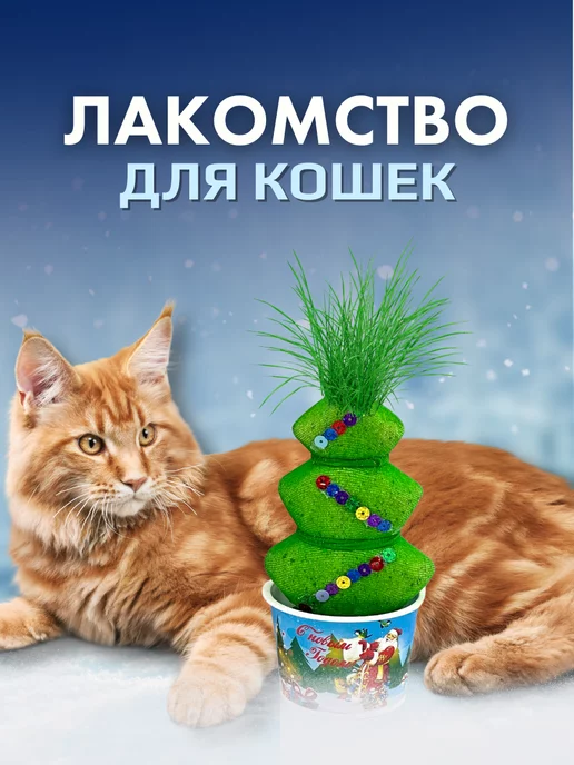 Сады Аурики Набор для выращивания растений травянчик елочка, вариант, фото 4