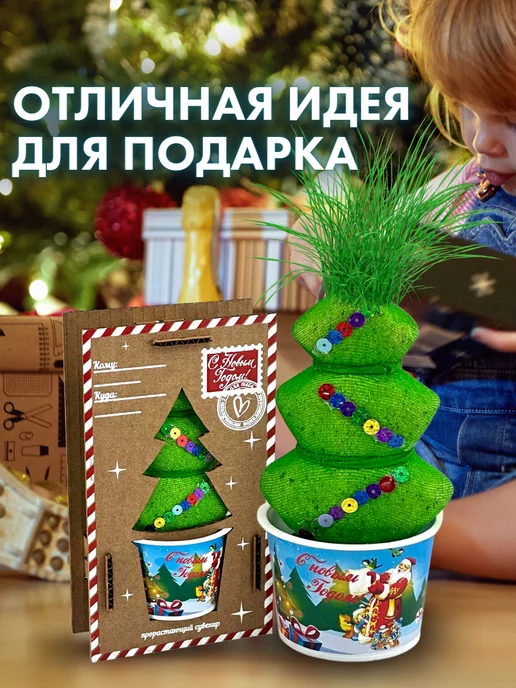 Сады Аурики Набор для выращивания растений травянчик елочка, вариант, фото 5