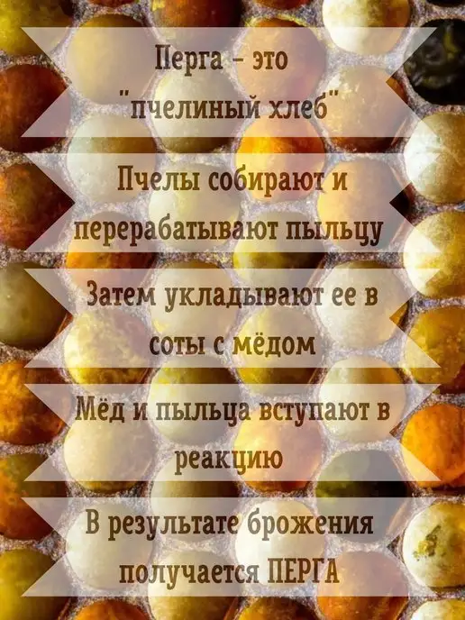 Правильный Мёд Перга пчелиная сбор 2026г, 2026 г, фото 2