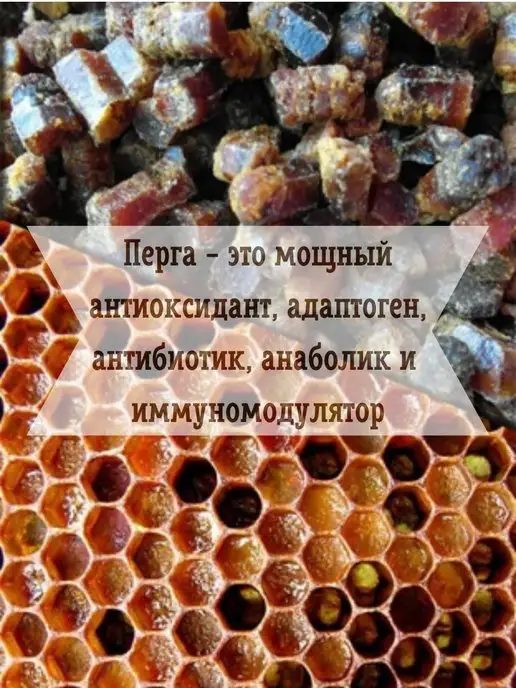 Правильный Мёд Перга пчелиная сбор 2026г, 2026 г, фото 3