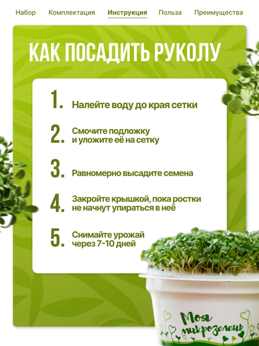 Здоровья клад Набор для выращивания микрозелени, вариант, фото 3