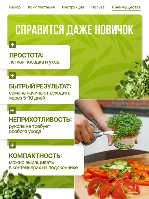 Здоровья клад Набор для выращивания микрозелени, вариант, фото 5