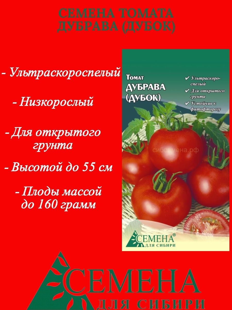 Сорт помидор дубрава отзывы фото. Томат Дубрава характеристика. Томат Дубок характеристика. Томат Дубрава вид. Томат Дубрава фото.