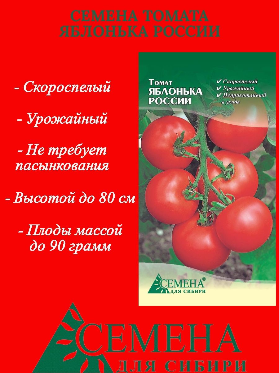 Помидоры яблонька описание сорта фото отзывы. Томат Яблонька Сибири.