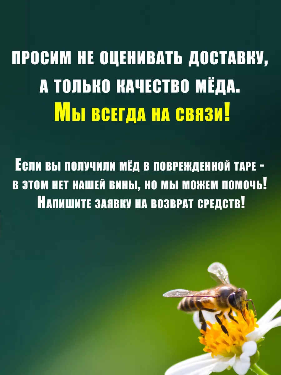 Мед таежный натуральный, 1кг, 2023 Пасеки Соловьёвых 139359168 купить в  интернет-магазине Wildberries