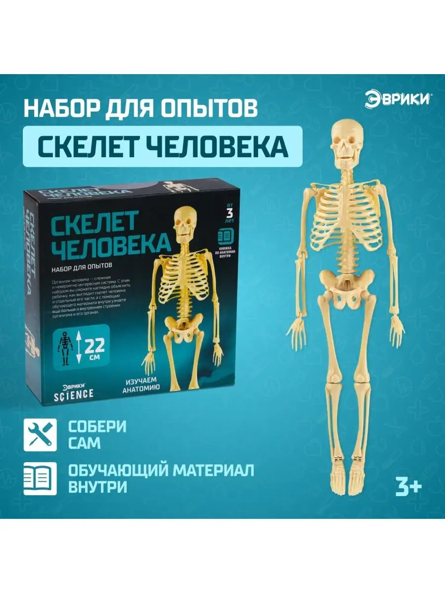 Кости - Порно Игры