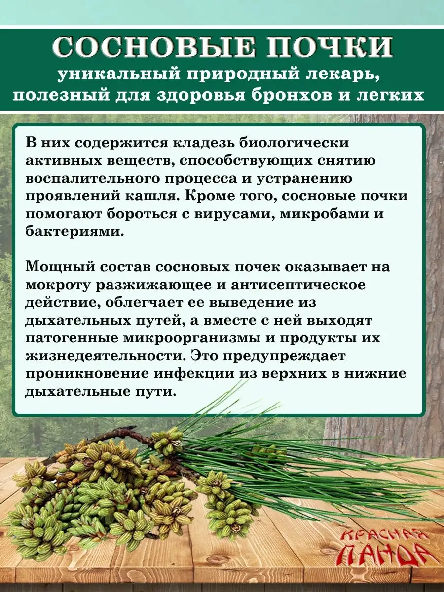 Сироп биоактивный с сосновыми почками, 100 мл Batel 139644322 купить за 434  ₽ в интернет-магазине Wildberries