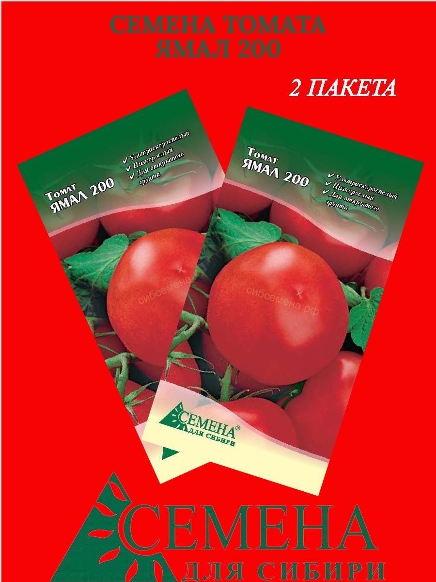 Томат ямал отзывы фото урожайность. Семена томат "Ямал-200". Томат Ямал 200. Ямал 200 томат отзывы.
