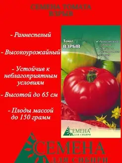 Семена томата ВЗРЫВ Семена для Сибири 139658279 купить за 70 ₽ в интернет-магазине Wildberries