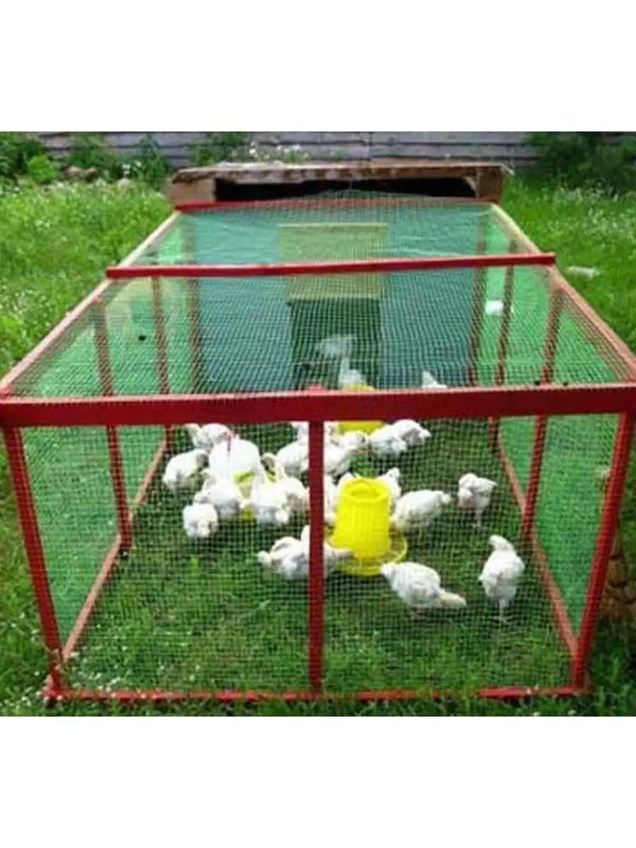 Как сделать клетку для цыплят