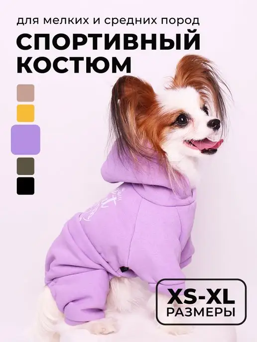 Продажа собак Алматинская область - костюм для собак
