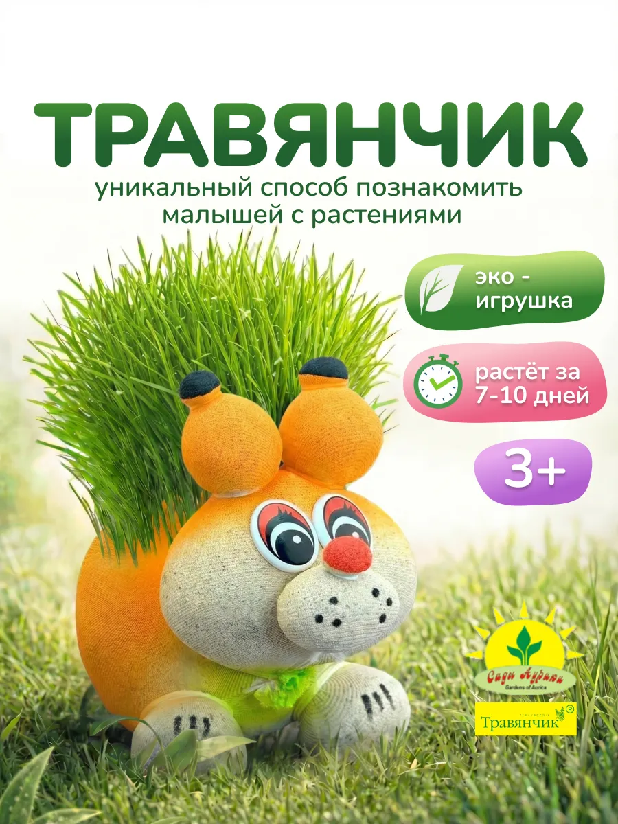 Набор для выращивания растений травянчик белочка