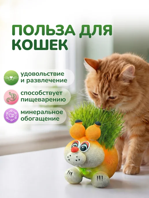 Сады Аурики Набор для выращивания растений травянчик белочка, вариант, фото 3