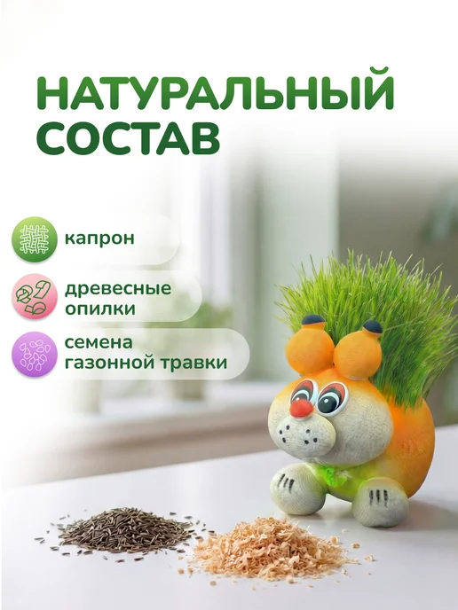 Сады Аурики Набор для выращивания растений травянчик белочка, вариант, фото 4