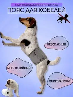 Пояс для кобелей многоразовый подгузник PetLeader 139731171 купить за 285 ₽ в интернет-магазине Wildberries