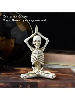 Статуэтка Скелет Йог (полистоун) Золотая Черепаха 139750620 купить за 1 075 ₽ в интернет-магазине Wildberries