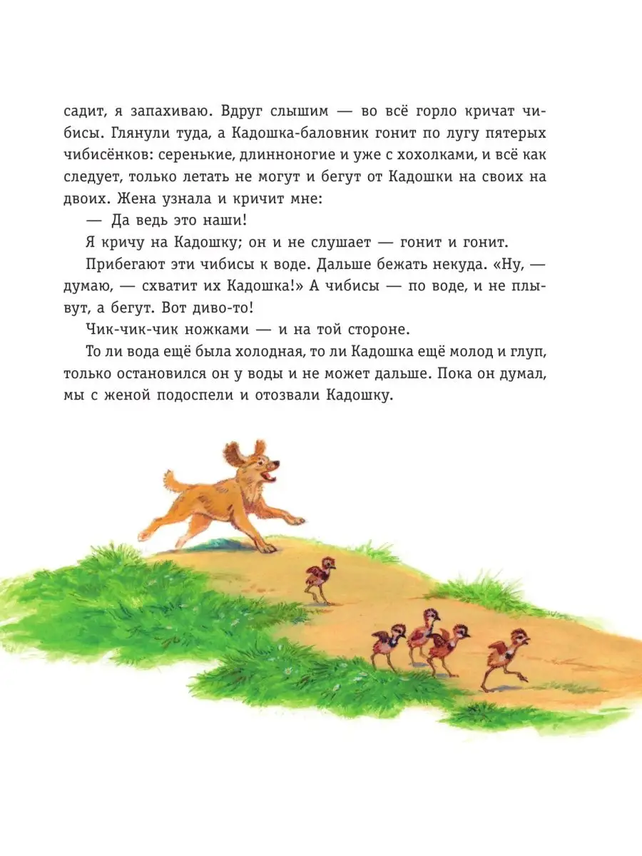 Рассказы о животных (ил. С. Ярового) Эксмо 139757142 купить за 339 ₽ в  интернет-магазине Wildberries