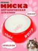 Миска для кошек керамическая Пижон 139795625 купить за 271 ₽ в интернет‑магазине Wildberries