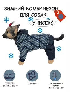 Зимний комбинезон для собак унисекс DOGMODA 139807902 купить за 1 968 ₽ в интернет-магазине Wildberries