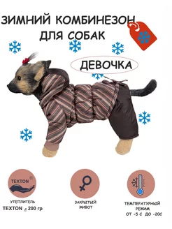 Зимний комбинезон для собак (девочка) DOGMODA 139808503 купить за 1 968 ₽ в интернет-магазине Wildberries