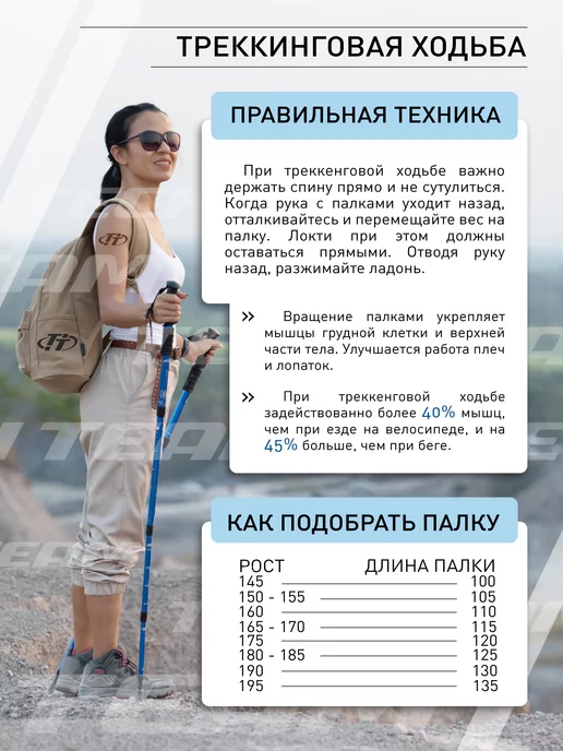 TechTeam Палки для скандинавской ходьбы, синий, фото 3