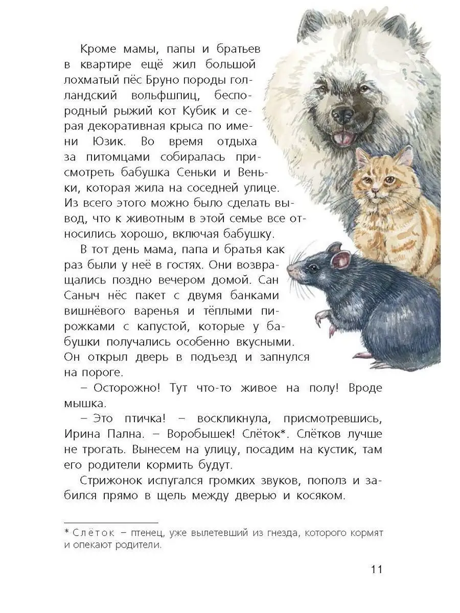 Я считаю ворон Энас-Книга 139830118 купить за 434 ₽ в интернет-магазине  Wildberries