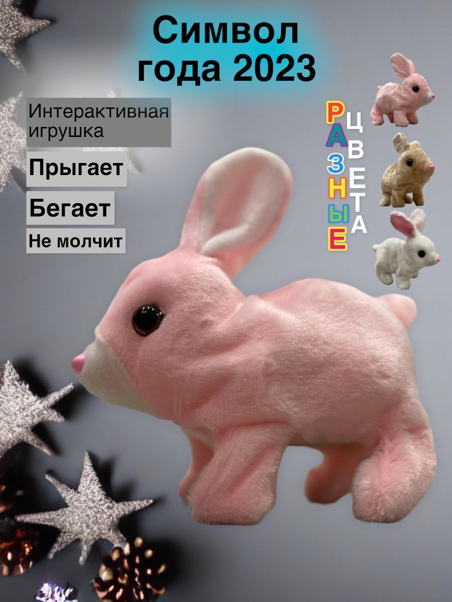 Год зайца 2023.