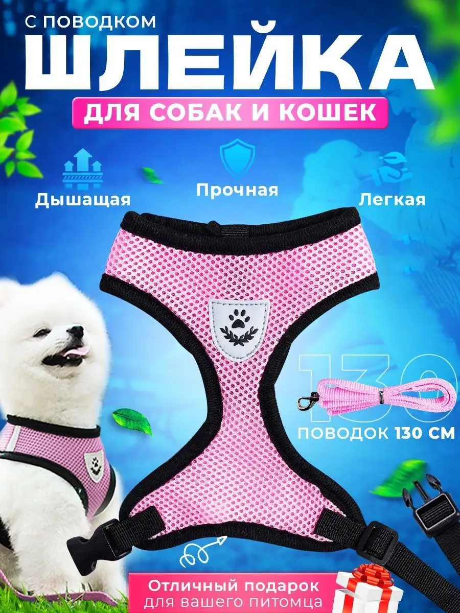 Шлейка для собак и кошек с поводком амуниция для прогулки