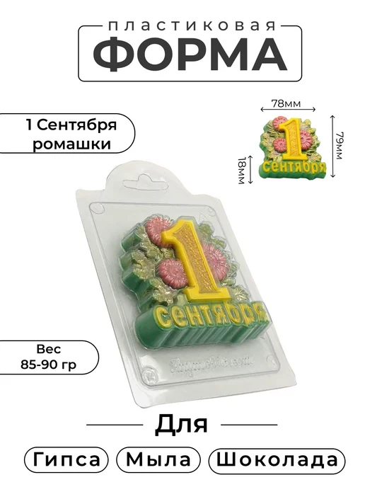 AnyMolds Пластиковая форма для мыла и шоколада 1 сентября ромашки, белый