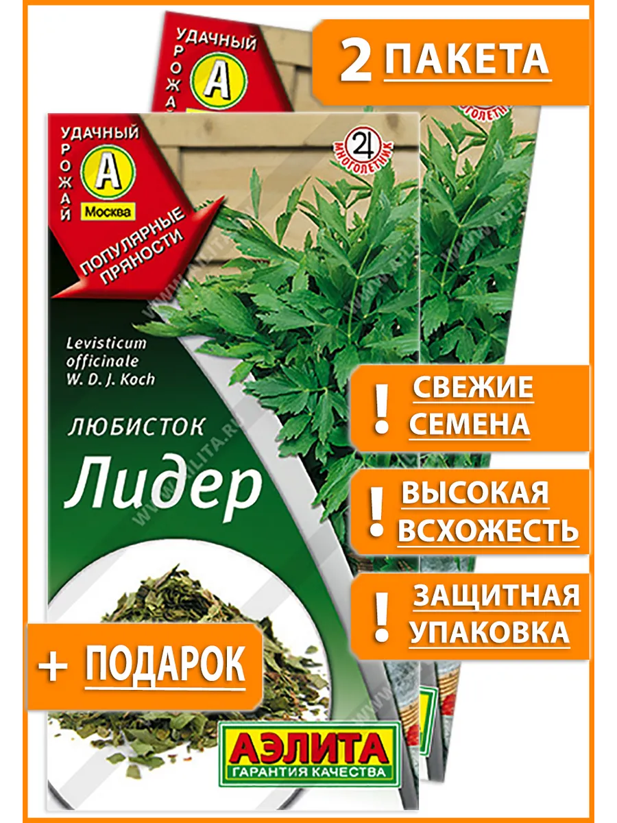Семена любисток для сада дачи посадки