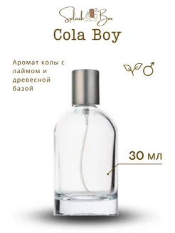 Bad Boys духи стойкие Splashbox 139917297 купить за 1 012 ₽ в интернет-магазине Wildberries