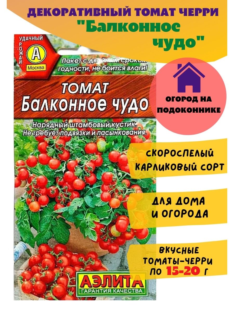 Сорт помидор балконное чудо отзывы. Томат черри балконное чудо. Томат балконное чудо Гавриш. Томат Гном балконное чудо.