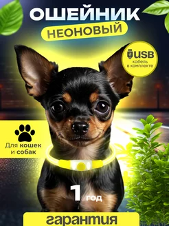 Светящийся ошейник для собак и кошек силиконовый Poper Pet 139967918 купить за 515 ₽ в интернет-магазине Wildberries