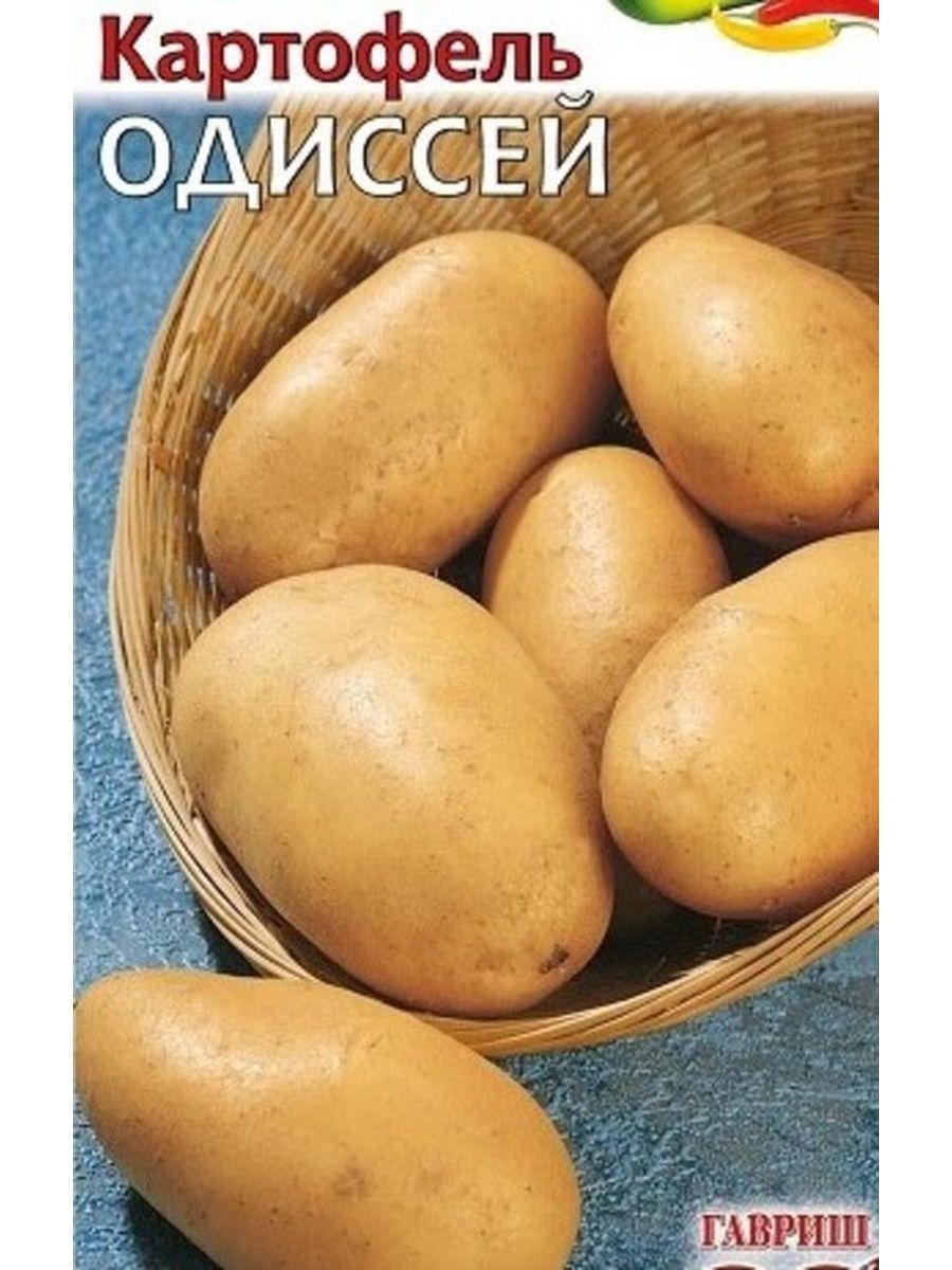 Зекура картофель характеристика