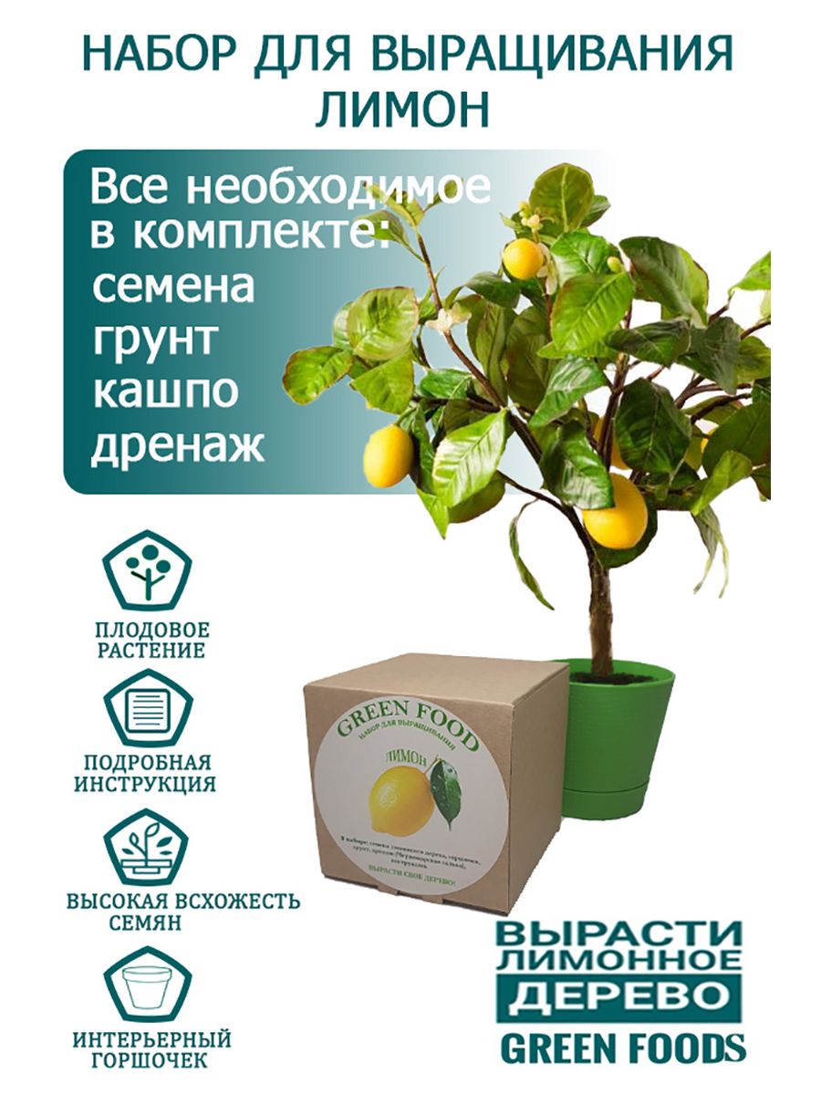 Домашний лимон, набор, лимонное дерево. Green foods 140008033 купить за 385  ₽ в интернет-магазине Wildberries