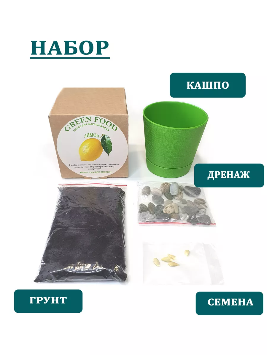 Домашний лимон, набор, лимонное дерево. Green foods 140008033 купить за 385  ₽ в интернет-магазине Wildberries