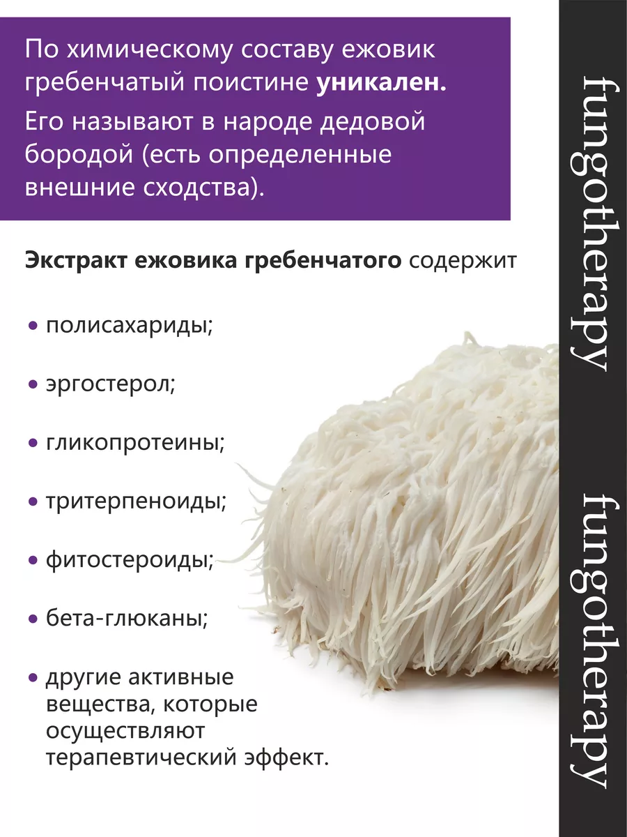 Ежовик гребенчатый капсулы, ноотроп для мозга и памяти Алфит Плюс 140008485  купить за 672 ₽ в интернет-магазине Wildberries